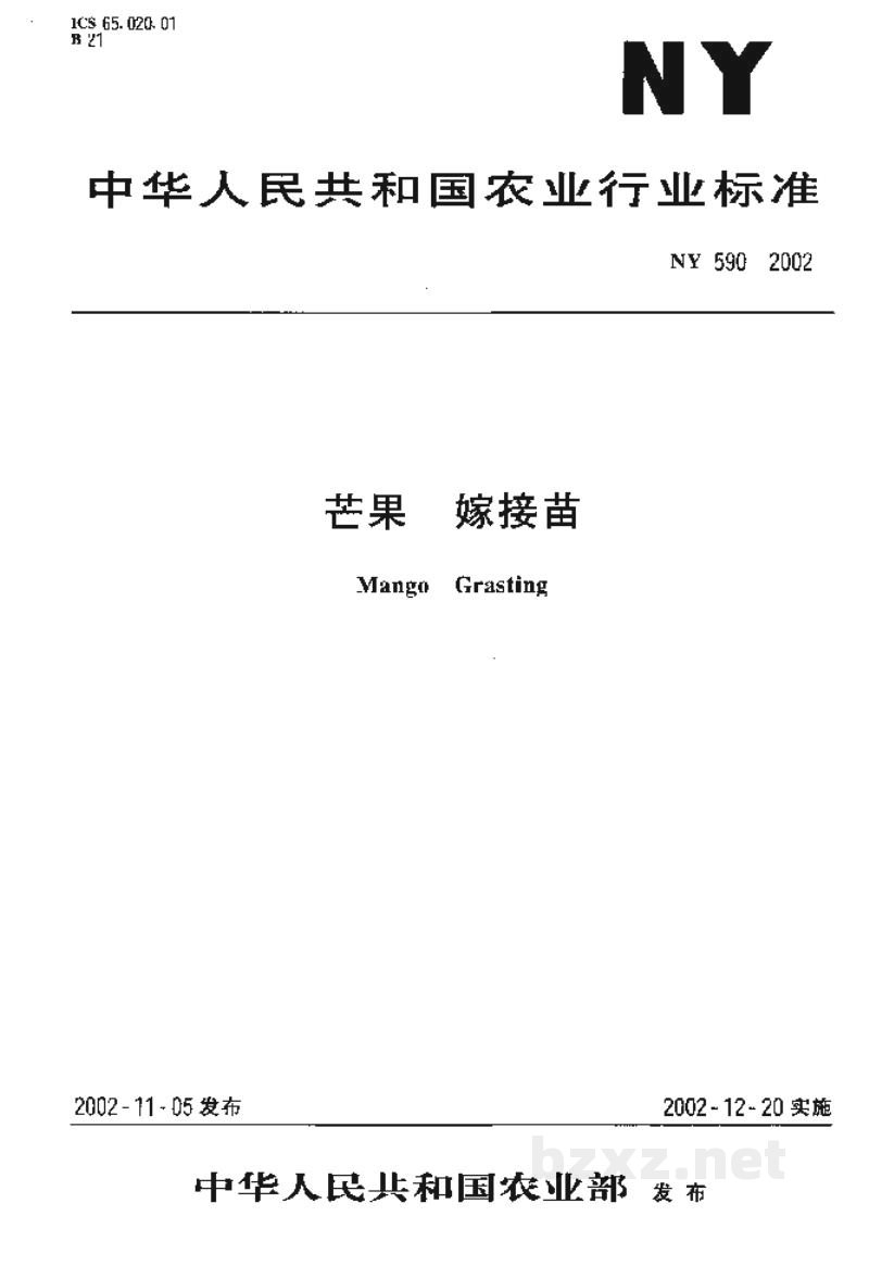 NY 590-2002芒果 嫁接苗 NY 590-2002芒果 嫁接苗