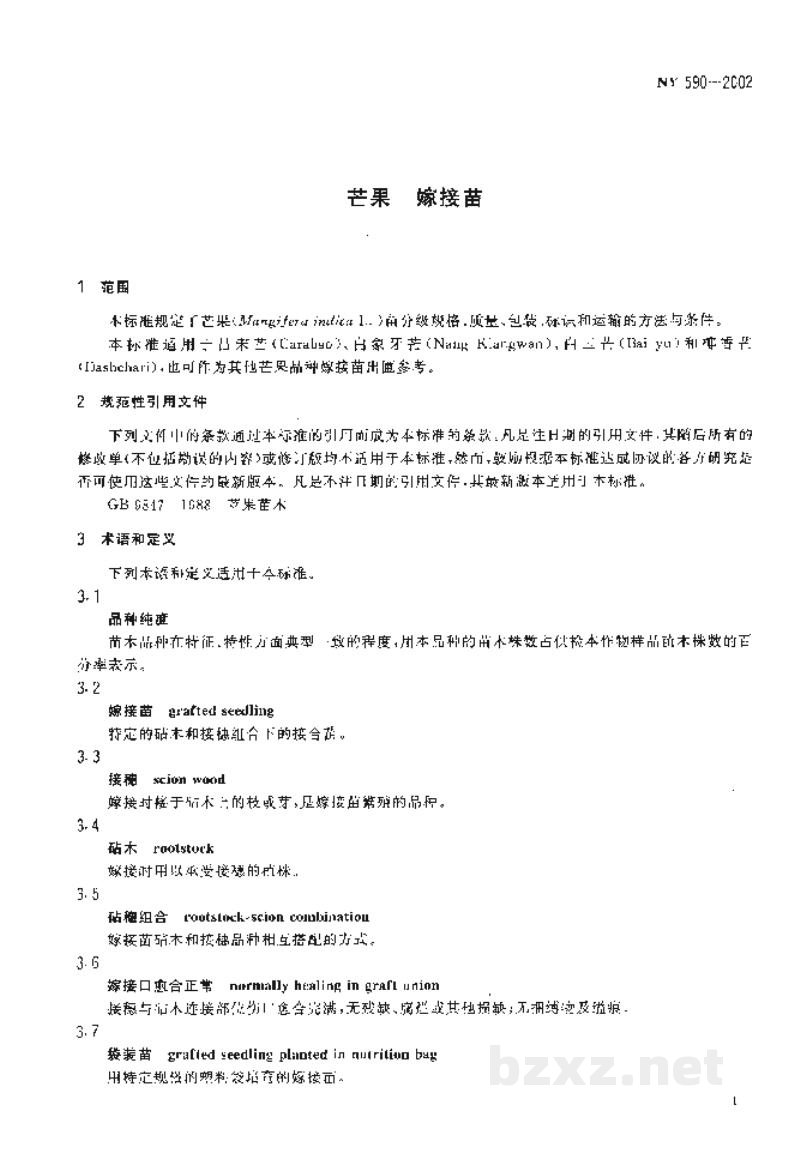 NY 590-2002芒果 嫁接苗 NY 590-2002芒果 嫁接苗