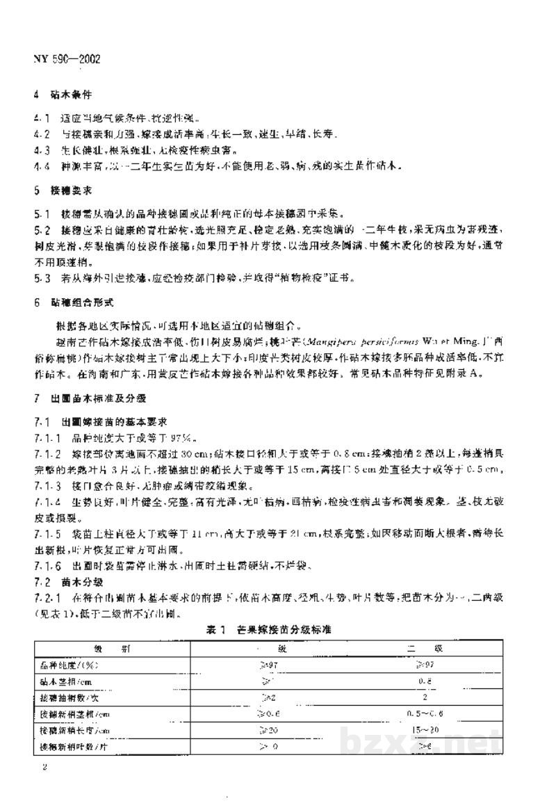 NY 590-2002芒果 嫁接苗 NY 590-2002芒果 嫁接苗