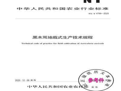 NY/T 4799-2025黑木耳地栽式生产技术规程