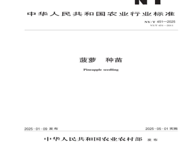 NY/T 451-2025菠萝 种苗