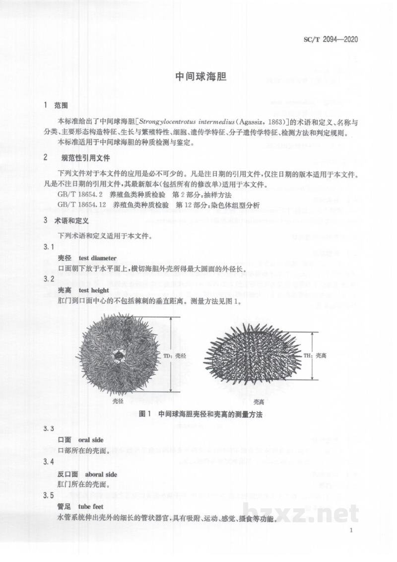SC/T 2094-2020中间球海胆 SC/T 2094-2020中间球海胆