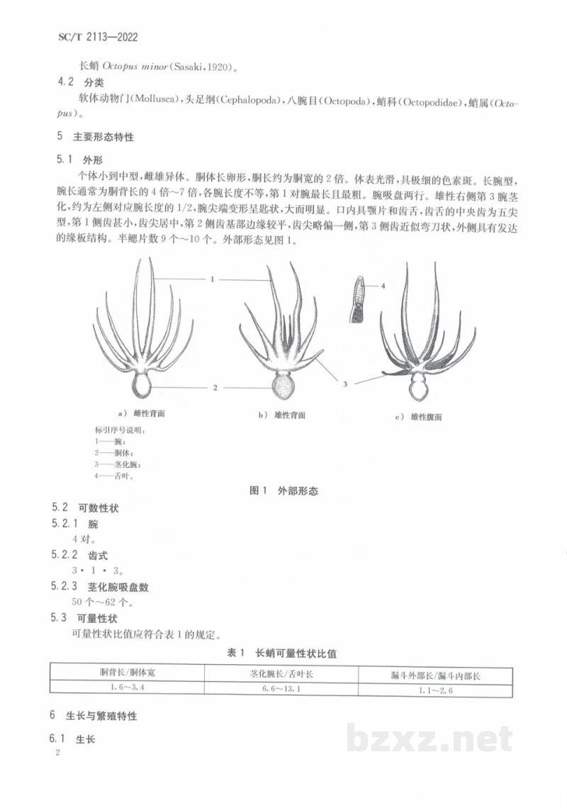 SC/T 2113-2022长蛸 SC/T 2113-2022长蛸