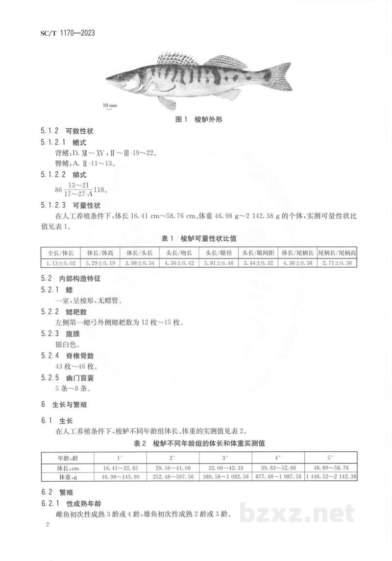 SC/T 1170-2023梭鲈 SC/T 1170-2023梭鲈