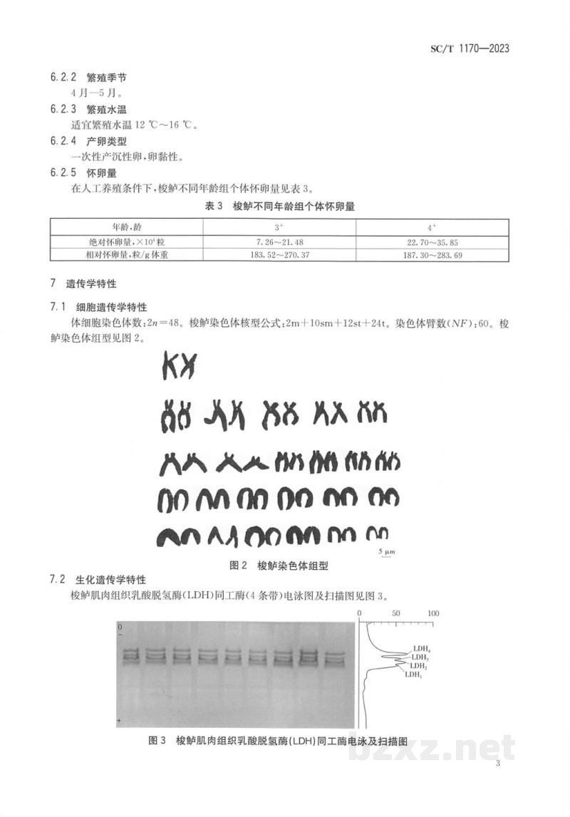 SC/T 1170-2023梭鲈 SC/T 1170-2023梭鲈
