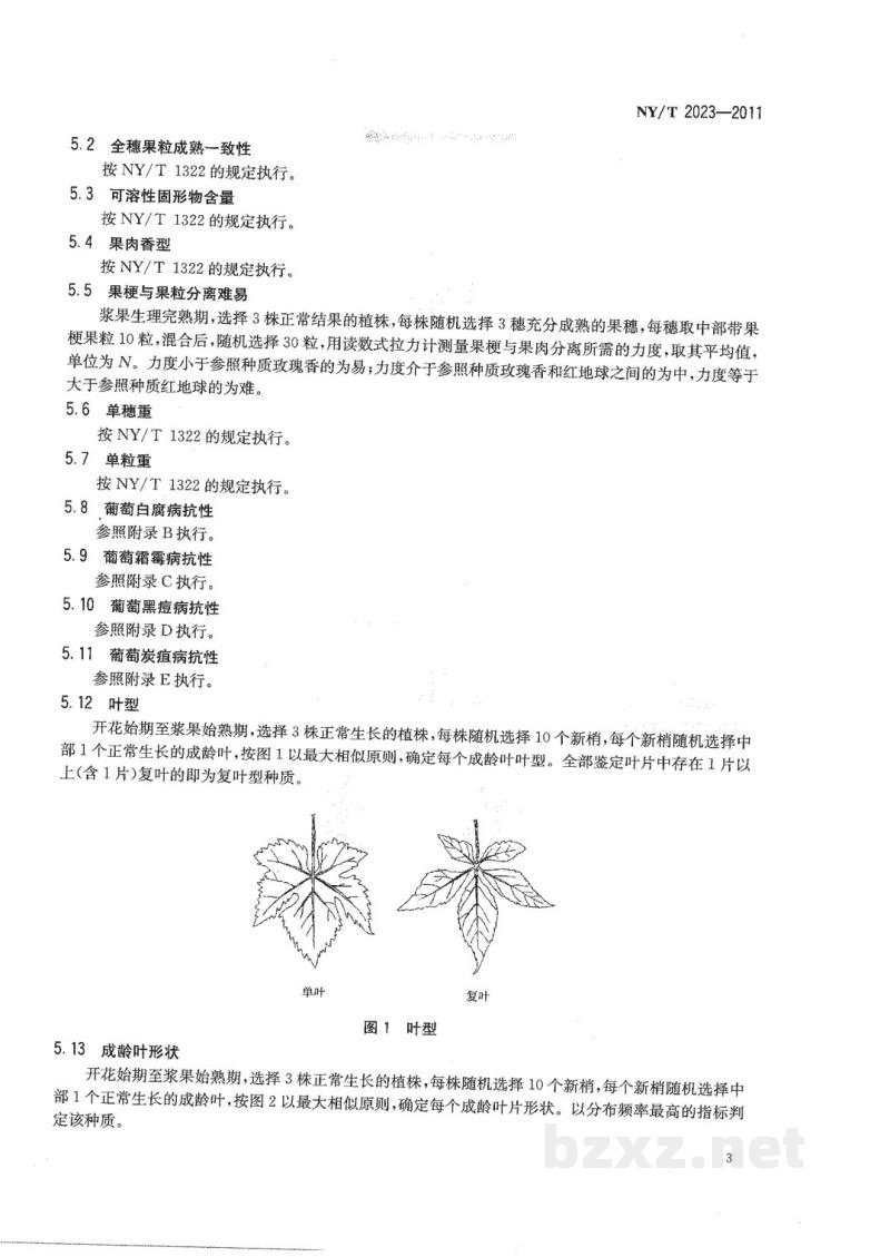 NY/T 2023-2011农作物优异种质资源评价规范葡萄 NY/T 2023-2011农作物优异种质资源评价规范葡萄