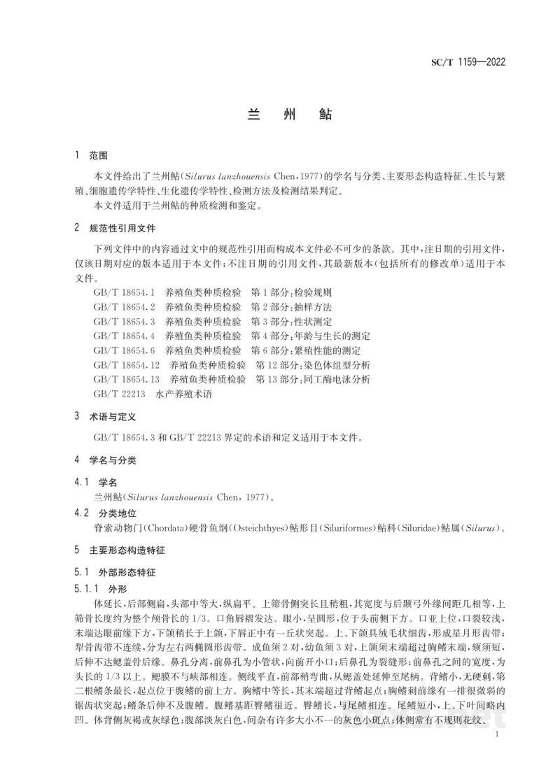 SC/T 1159-2022兰州鲇