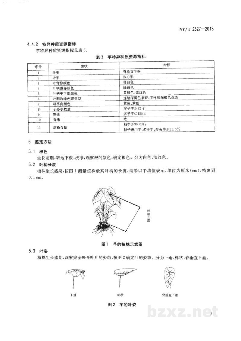 NY/T 2327-2013农作物种质资源鉴定评价技术规范芋