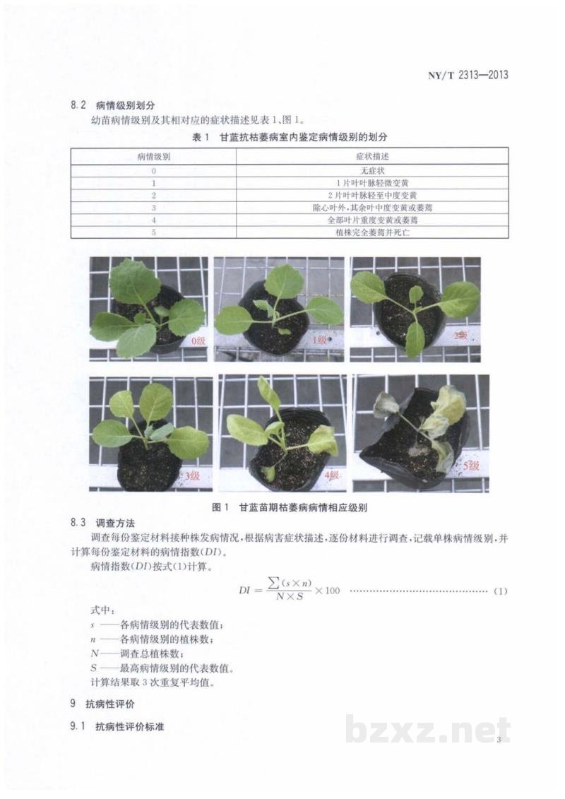 NY/T 2313-2013甘蓝抗枯萎病鉴定技术规程 NY/T 2313-2013甘蓝抗枯萎病鉴定技术规程