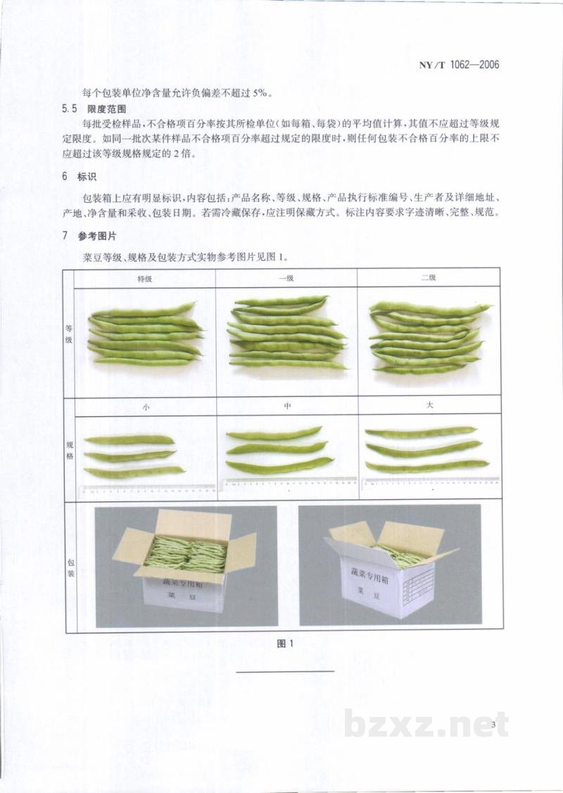 NY/T 1062-2006菜豆等级规格 