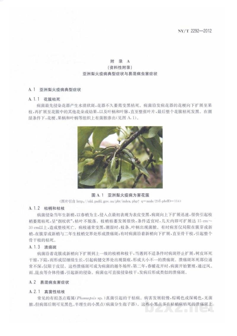 NY/T 2292-2012亚洲梨火疫病监测技术规范