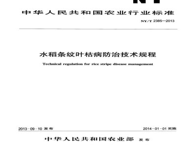 NY/T 2385-2013水稻条纹叶枯病防治技术规程