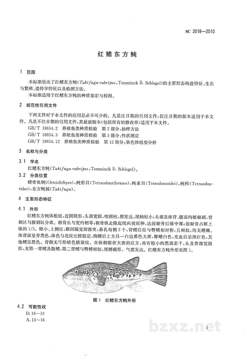 SC 2018-2010红鳍东方鲀 SC 2018-2010红鳍东方鲀