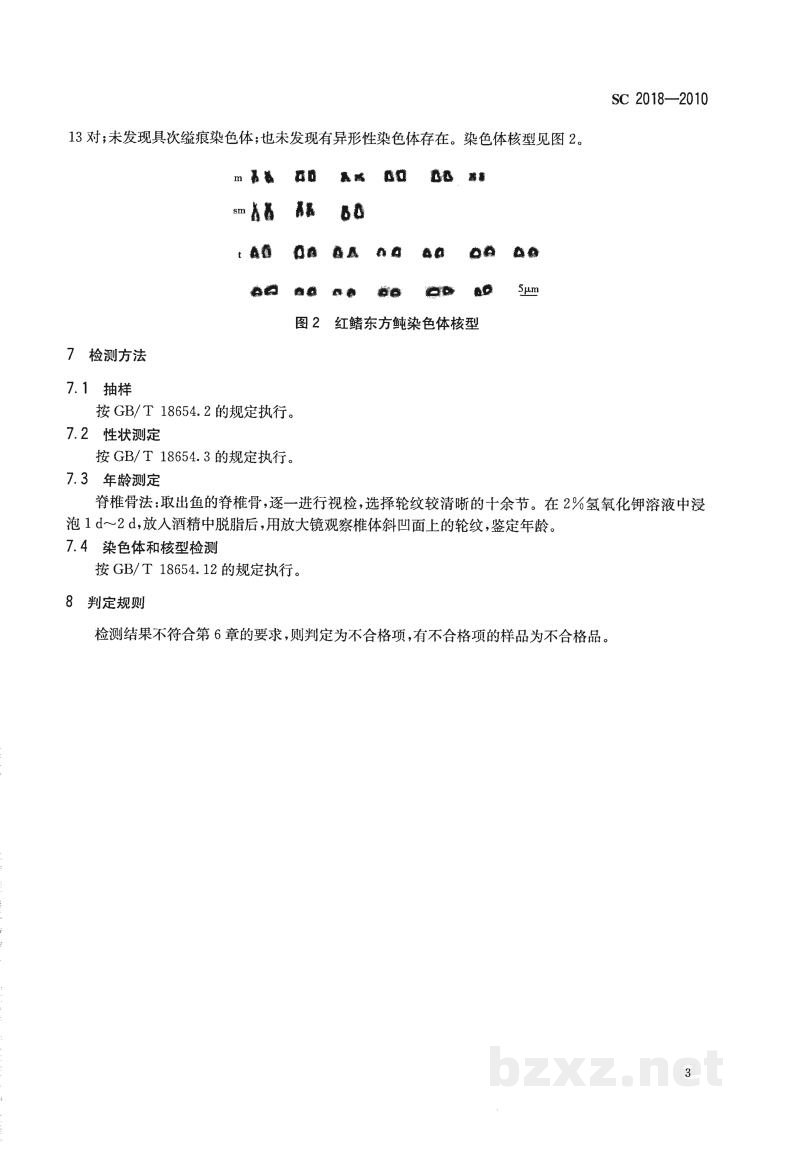 SC 2018-2010红鳍东方鲀 SC 2018-2010红鳍东方鲀