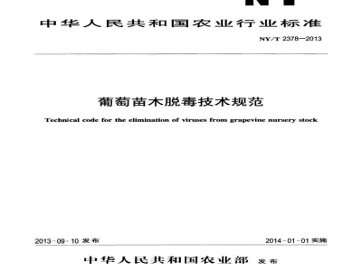 NY/T 2378-2013葡萄苗木脱毒技术规范