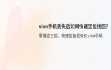 vivo手机丢失后通过定位功能寻找手机的具体步骤