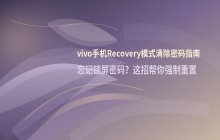 vivo手机进入Recovery模式清除密码的具体操作步骤