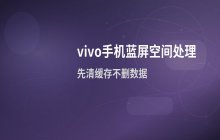 vivo手机存储空间不足导致蓝屏且无法启动的处理
