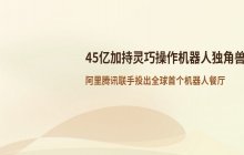 阿里腾讯等机构联合投资 45亿资金加持灵巧操作机器人独角兽