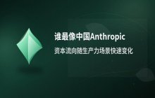 谁最像中国Anthropic，资本流向随之快速变化