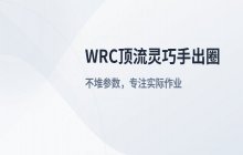 WRC顶流灵巧手出圈_不堆参数专注实际作业能力