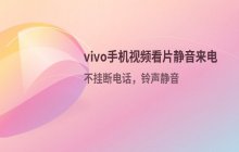 vivo手机如何将来电视频的铃声设定为静音模式