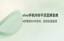 vivo手机内存不足导致蓝屏_解决蓝屏问题的处理方法