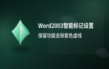 Word2003开启智能标记但去除紫色虚线的设置