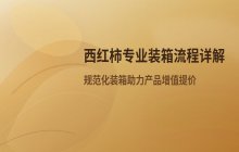 西红柿装箱方法