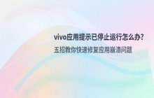 vivo应用提示已停止运行 解决办法
