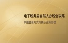 电子税务局自然人办税入口_网上申报系统官网