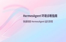 HermesAgent 运行 hermesdoctor 诊断的步骤