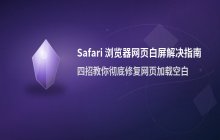 Safari浏览器 访问网站页面空白处理