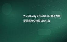 安装WorkBuddy后无法连接LDAP怎么办 统一身份认证对接方法