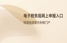 电子税务局网上申报系统及官方办税门户登录入口