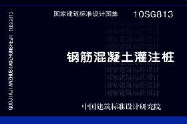 10SG813钢筋混凝土灌注桩