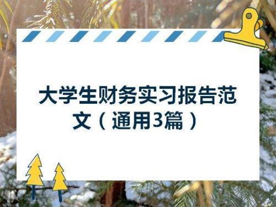 财务实习报告范文（通用11篇） 财务实践报告范文3000字