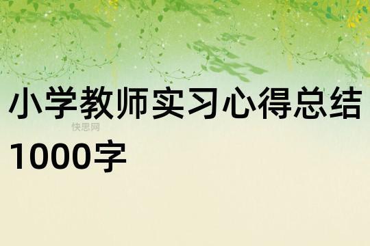 关于教师实习心得 重视学生生活实践经验