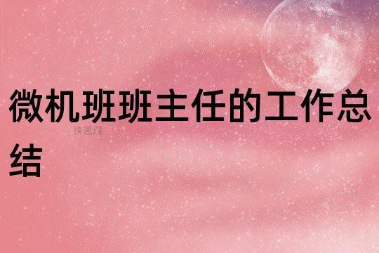 最新微机教师实习报告范文 微机教师工作总结