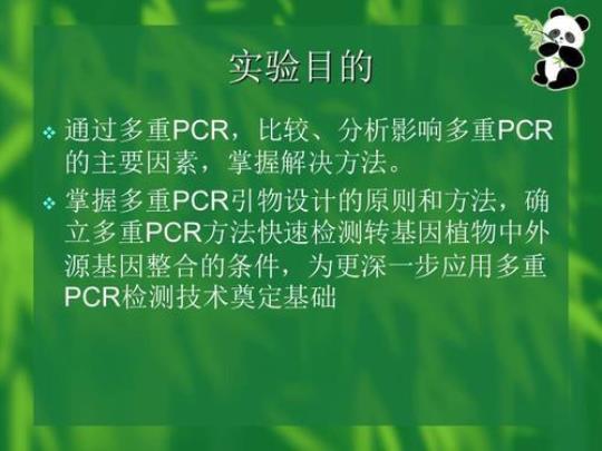 pcr实习自我鉴定