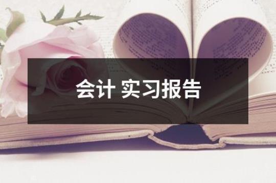 会计专业实习报告3000字范文 会计专业毕业实践报告40篇