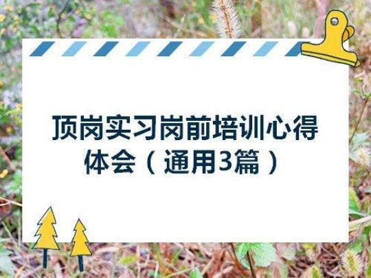 电话客服实习心得体会(5篇) 实习总结2000字