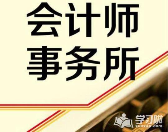 会计师事务所实习日记3篇