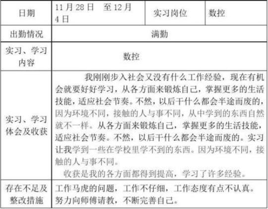 电子商务专业顶岗实习报告3000字（精选13篇） 电子商务顶岗周记