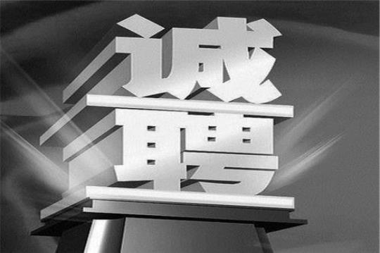 实习内容心得体会 实习内容心得12篇