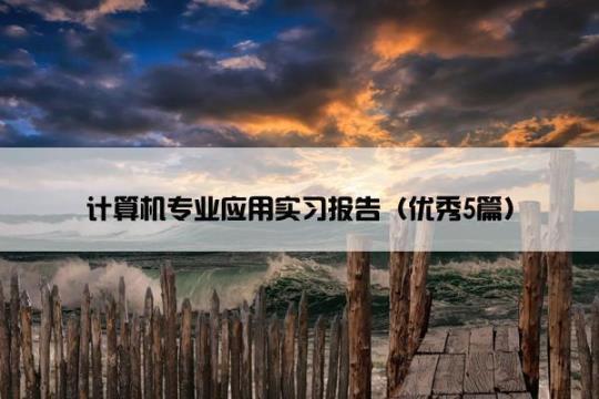 计算机专业大学生实习报告范文（精选5篇） 计算机专业大学生职业生涯规划书