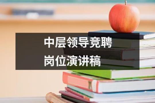 竞聘税务局中层干部演讲稿 冷水江税务局中层干部