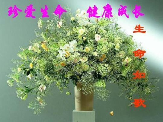 珍爱生命励志演讲稿（通用6篇）