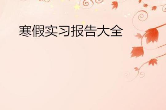 寒假装饰有限公司实习报告范文 韩嘉装饰工程有限公司实习报告