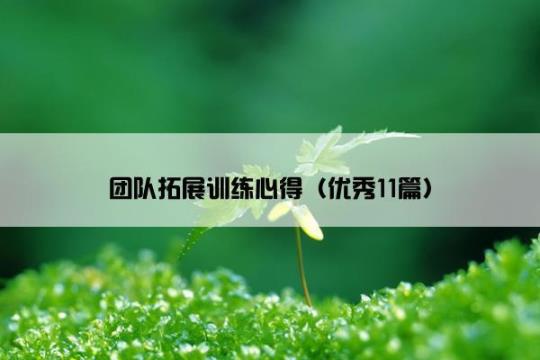 大学拓展训练心得体会范文（通用5篇） 大学拓展训练心得体会300字